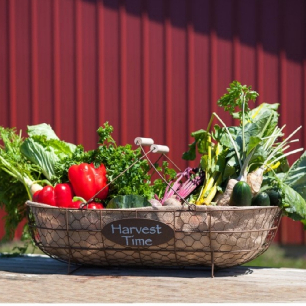 Metal Rustic Basket